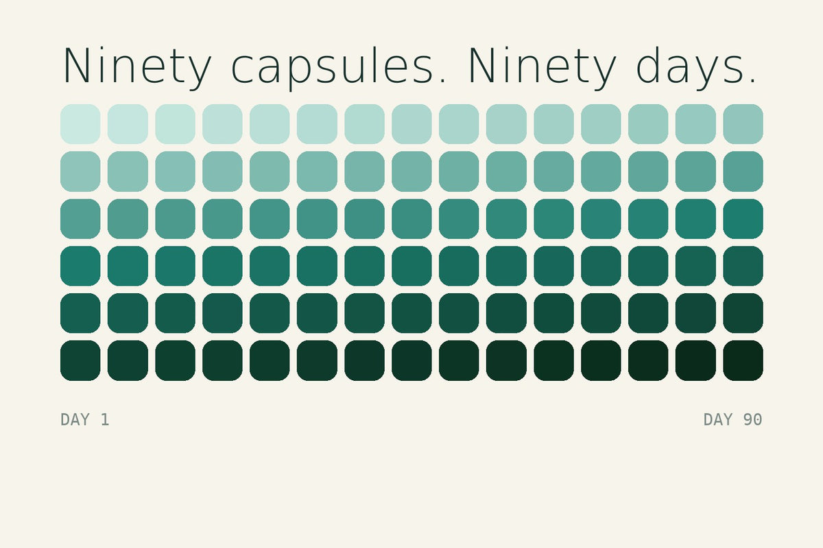 Ninety squares for ninety capsules, one bottle of Mega Restore is a ninety-day supply
